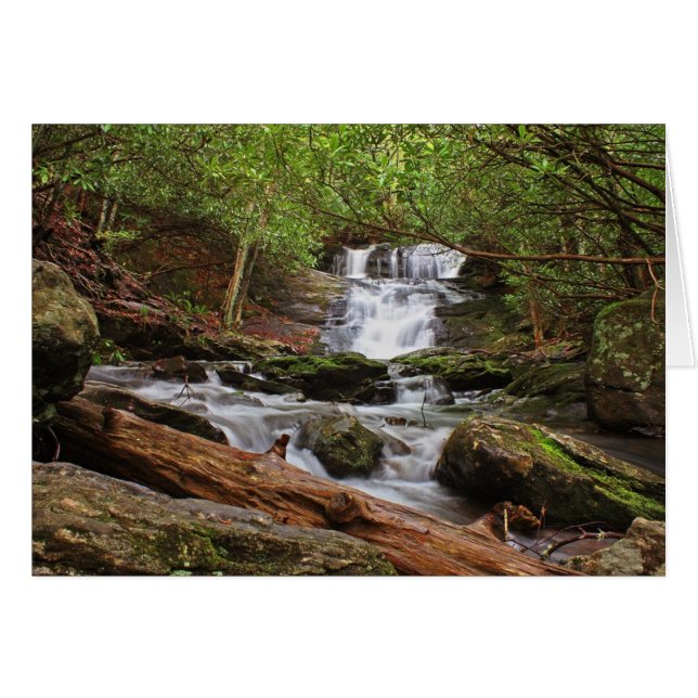 Big Laurel Falls (Front Horizontal)