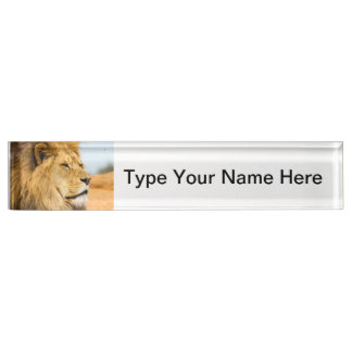 Big lion looking far away nameplate