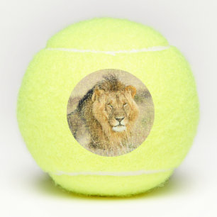 Big majestic lion wild animal photo tennis balls