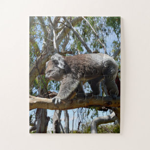 Big Male Australian Koala, Jigsaw Puzzle
