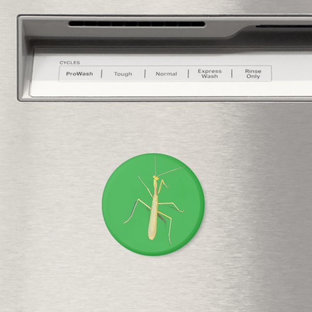 Big Mantis Magnet (In Situ (Dishwasher))