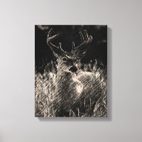 Big Meadows Buck Canvas Print