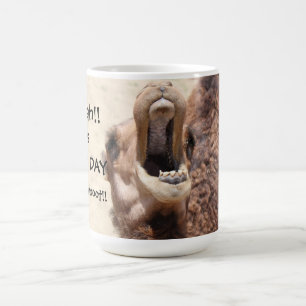 Big Mouthed Camel Hump Day Mug, whoot! Coffee Mug