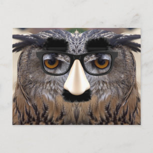 Big Nose Bird Postcard