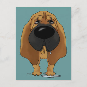 Big Nose Bloodhound Postcard