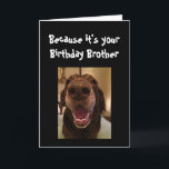Big Nose Dog Funny Birthday Brother Love Dog Card<br><div class="desc">Brother  Because it's your Birthday and I nose it that's why you're getting this card.   Happy Birthday cute Fun Big Nose Dog Animal fun</div>