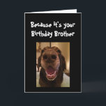 Big Nose Dog Funny Birthday Brother Love Dog Card<br><div class="desc">Brother  Because it's your Birthday and I nose it that's why you're getting this card.   Happy Birthday cute Fun Big Nose Dog Animal fun</div>