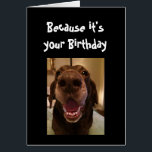 Big Nose Dog Funny Birthday Love Dog<br><div class="desc">Because it's your Birthday and I nose it that's why you're getting this card.   Happy Birthday cute Fun Big Nose Dog Animal fun</div>