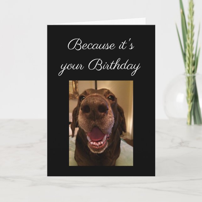 Big Nose Dog Funny Birthday Love Dog Card (Front)