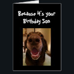 Big Nose Dog Funny Birthday  Son Love Dog<br><div class="desc">Son  Because it's your Birthday and I nose it that's why you're getting this card.   Happy Birthday cute Fun Big Nose Dog Animal fun</div>
