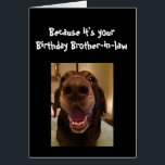 Big Nose Dog Funny BirthdayBrother-in-law Dog<br><div class="desc">Brother-in-law  Because it's your Birthday and I nose it that's why you're getting this card.   Happy Birthday cute Fun Big Nose Dog Animal fun</div>