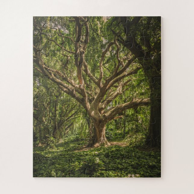 Big Old Ancient Tree in the Forest Jigsaw Puzzle (Vertical)
