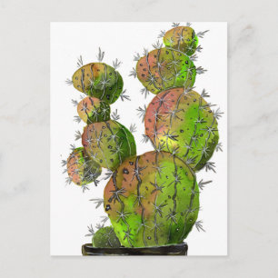 Big Old Stingy Cactus Postcard