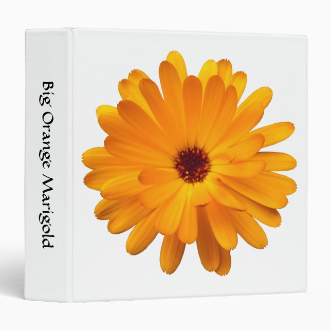 Big Orange Marigold (1.5in) Binder (Front/Spine)
