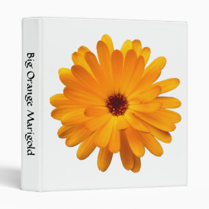 Big Orange Marigold (1in) Binder