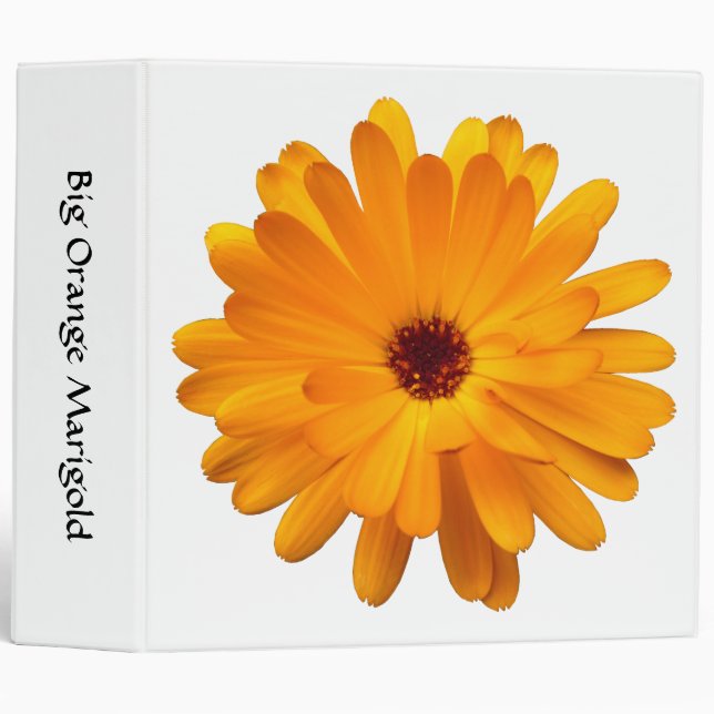Big Orange Marigold (2in) Binder (Front/Spine)