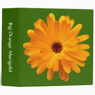 Big Orange Marigold (2in) - Green 336600 Binder