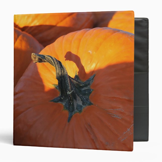 Big Orange Pumpkin  Binder (Front/Inside)