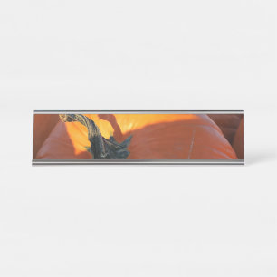 Big Orange Pumpkin  Desk Name Plate