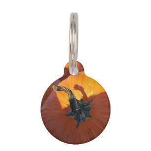 Big Orange Pumpkin Pet Tag