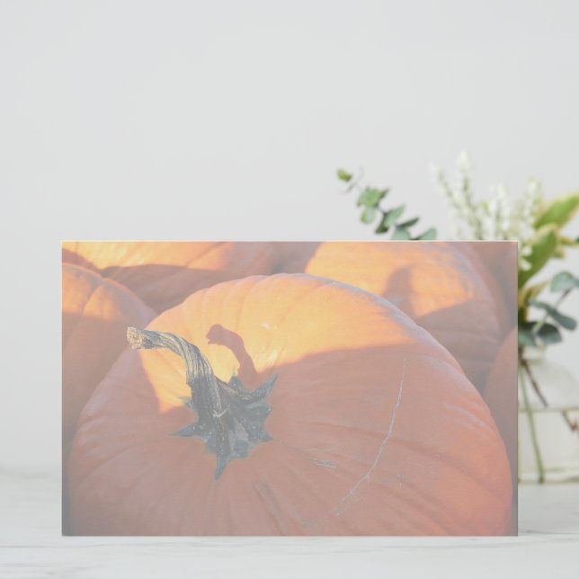 Big Orange Pumpkin  Stationery (Standing Front)