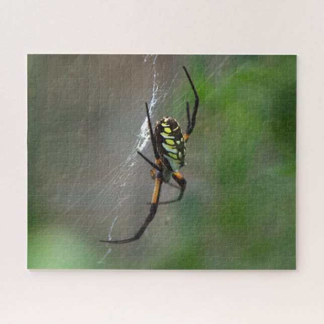 Big Orb Weaver Spider sur le Web Nature Puzzle (Horizontal)