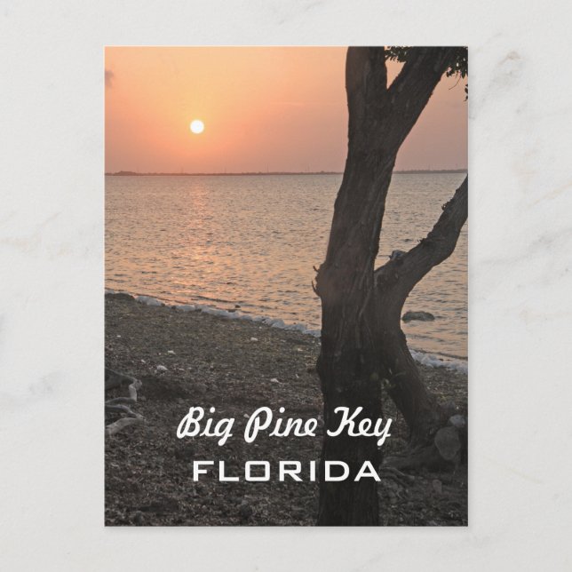 Big Pine Key Sunrise Postcard (Front)