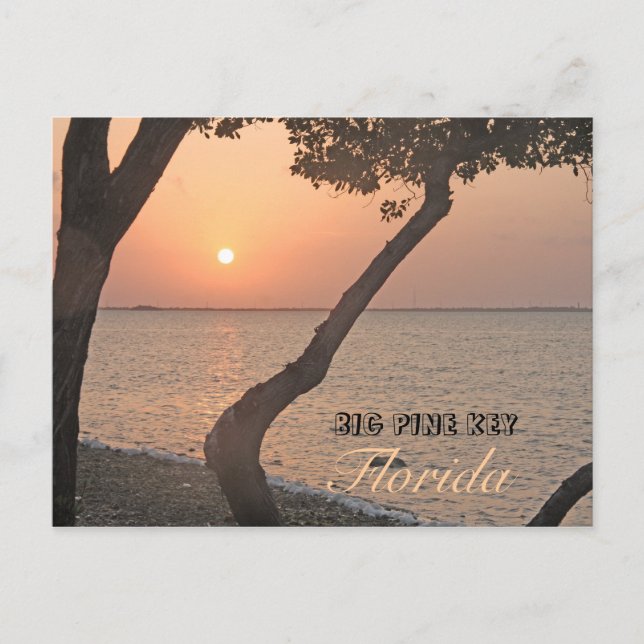 Big Pine Key Sunrise Postcard (Front)
