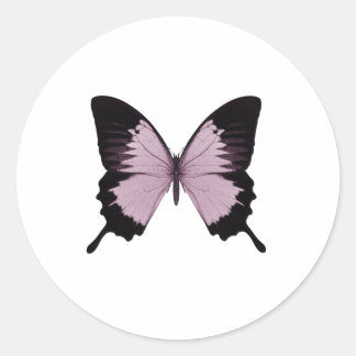 Big Pink & Black Butterfly - Personalize Classic Round Sticker