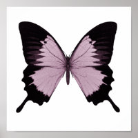 Big Pink & Black Butterfly - Personalize