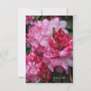 Big Pink Rhododendron Card