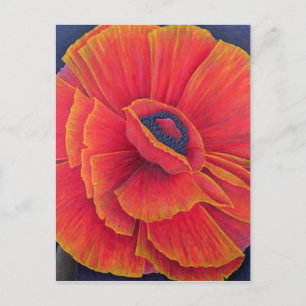 Big Poppy 2003 Postcard