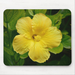 Big Pretty Yellow Flower Mouse Pad