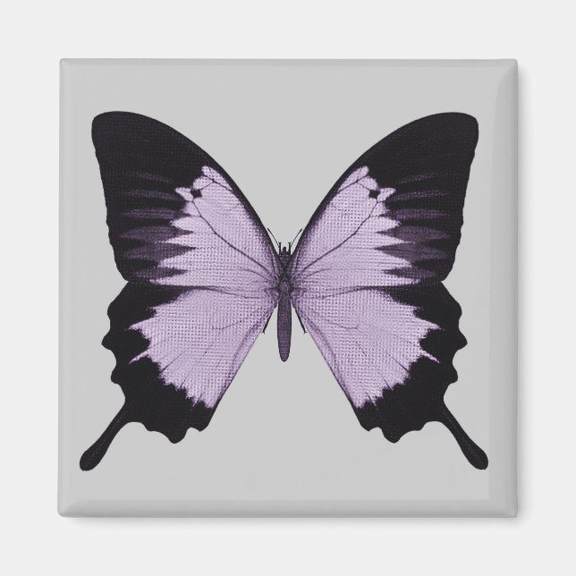 Big Purple & Black Butterfly Magnet (Front)