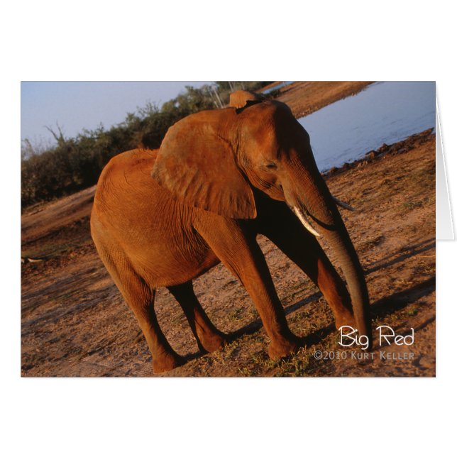 Big Red (Devant Horizontal)