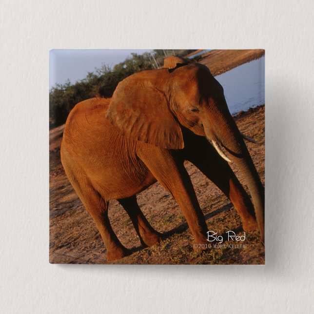 Big Red 2 Inch Square Button (Front)