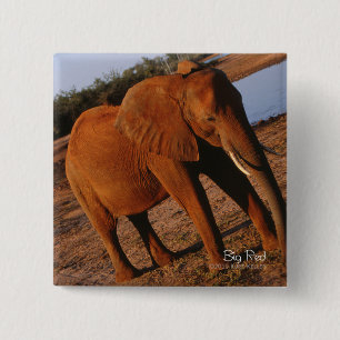 Big Red 2 Inch Square Button