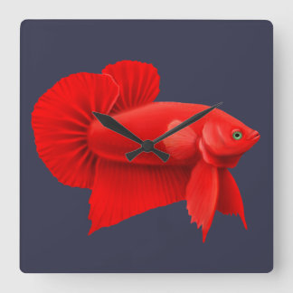 Big Red Betta Fish Plakat Wall Clock