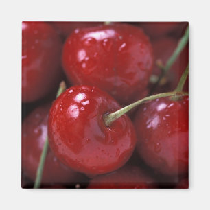 Big Red Cherries Magnet