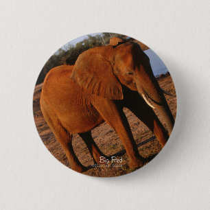 Big Red Elephant 2 Inch Round Button