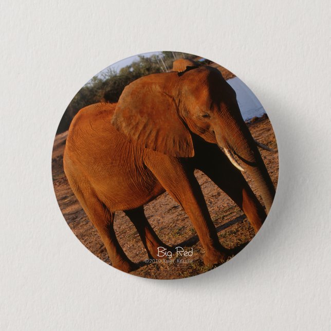 Big Red Elephant 2 Inch Round Button (Front)