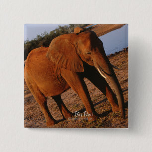 Big Red Elephant 2 Inch Square Button
