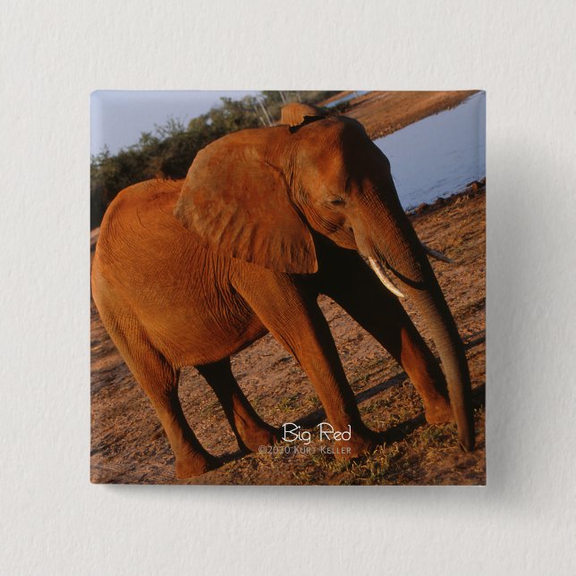 Big Red Elephant 2 Inch Square Button (Front)