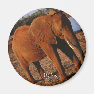 Big Red Elephant Magnet