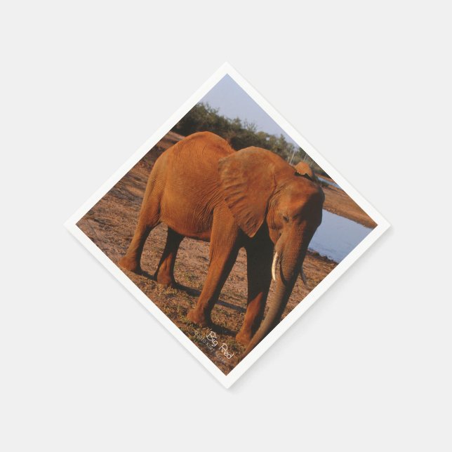 Big Red Napkin (Corner)