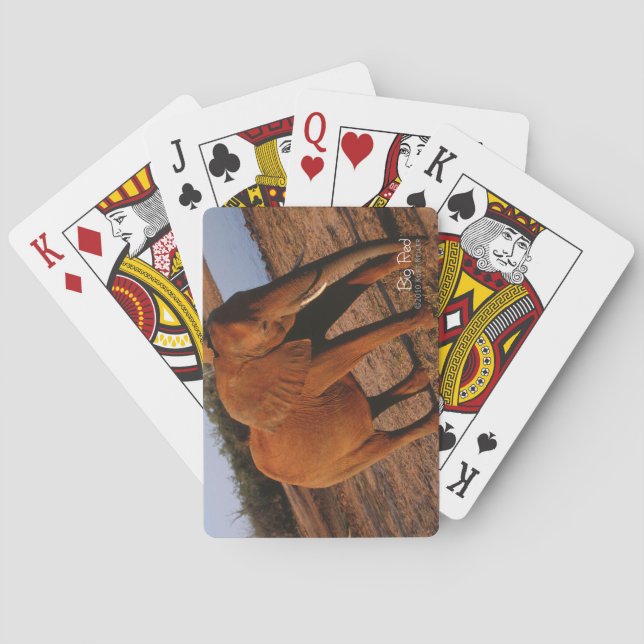 Big Red Playing Cards (Back)