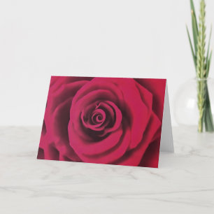 Big Red Rose Card