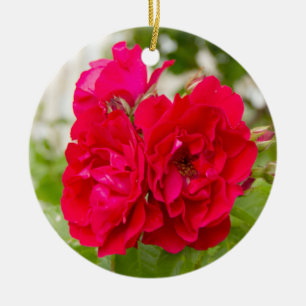 Big red roses in the garden ceramic ornament
