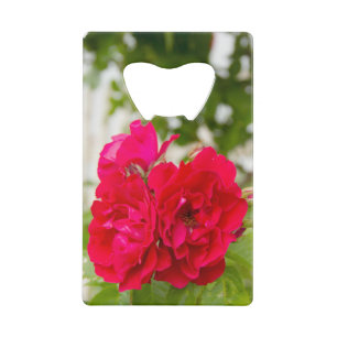 Big red roses in the garden credit card bottle opener