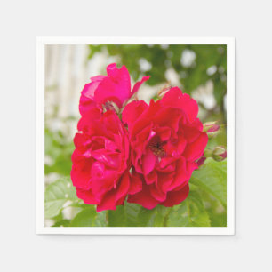 Big red roses in the garden   napkin